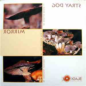 Stray Dog - Mirror download mp3