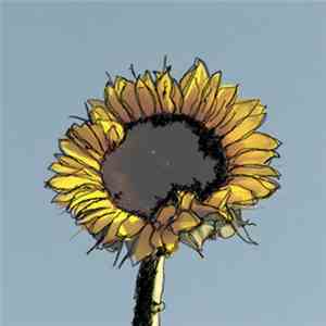 Ten And Tracer - Vinculum download mp3
