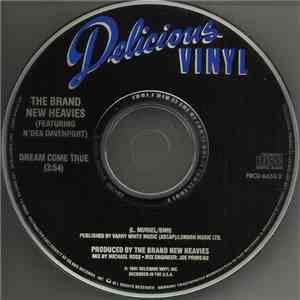 The Brand New Heavies Featuring N'Dea Davenport - Dream Come True mp3 download