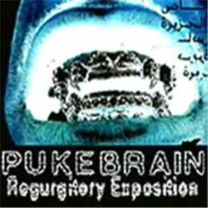 Pukebrain - Regurgitory Exposition download mp3
