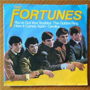 The Fortunes - You've Got Your Troubles download mp3