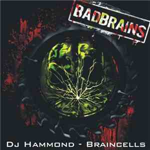 DJ Hammond - Braincells download mp3