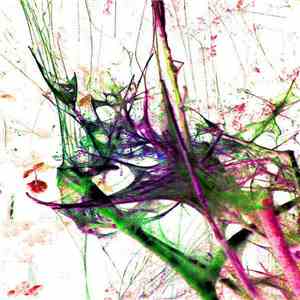 Paul Nagle - Seekers Of Oblivion mp3 download