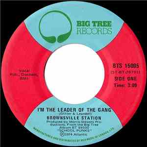 Brownsville Station - I'm The Leader Of The Gang / Fast Phyllis download mp3