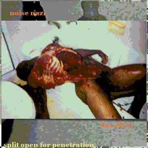 Noise Nazi / Flat Affect - Split Open For Penetration download mp3
