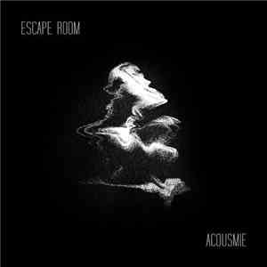 Acousmie  - Escape Room download mp3