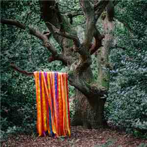 James Holden & The Animal Spirits - The Animal Spirits download mp3
