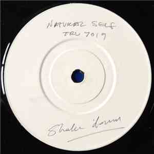 Natural Self - Shake Down download mp3
