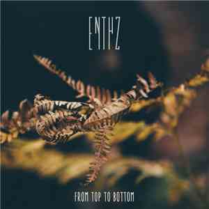Enthz - From Top to Bottom EP download mp3