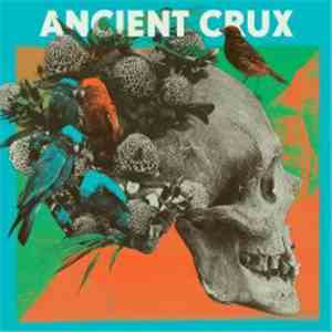 Ancient Crux - Interracial Coupling mp3 download