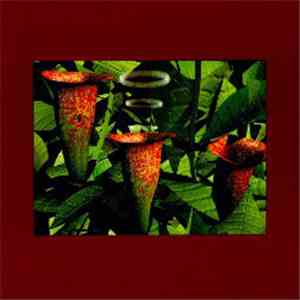 Various - Artificial Intelligence II download mp3