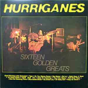 Hurriganes - Sixteen Golden Greats download mp3