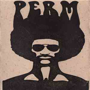 Perm  - Customized Gold download mp3