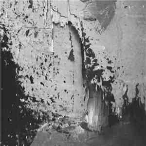 N O A H S T A S - In Fear Of Rot download mp3