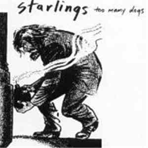 Starlings - Too Many Dogs download mp3