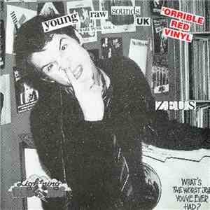 Various - Young Raw Sounds UK (Rare Punk Vol 1) download mp3