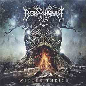 Borknagar - Winter Thrice download mp3