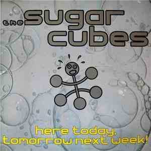 The Sugar Cubes - Here Today, Tomorrow Next Week! download mp3