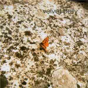 Velvet Belly - Velvet Belly mp3 download