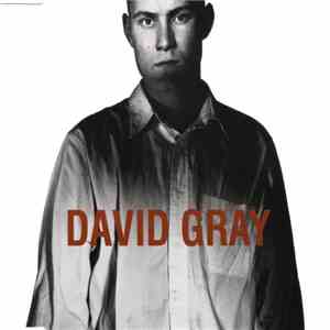 David Gray - Birds Without Wings download mp3