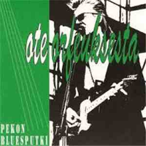 Pekon Bluesputki - Ote Orfeuksesta download mp3