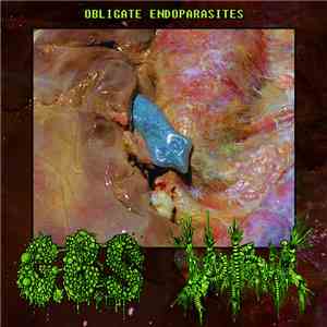 G.B.S.  / Vomitoma - Obligate Endoparasites download mp3