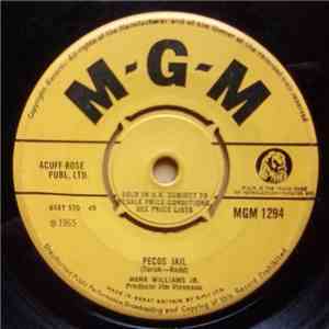Hank Williams, Jr. - Pecos Jail / You're Ruinin' My Life download mp3