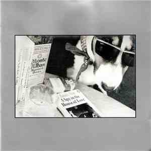 The House Of Love - A Spy In The House Of Love download mp3