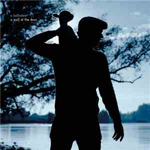 a balladeer - A Wolf At The Door download mp3