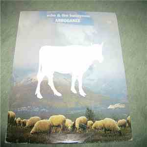Echo & The Bunnymen - Arrogance download mp3