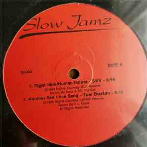 Various - Slow Jamz 2 download mp3
