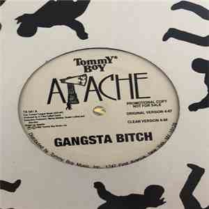 Apache - Gangsta Bitch download mp3