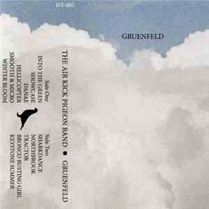 The Air Kick Pigeon Band - Gruenfeld download mp3