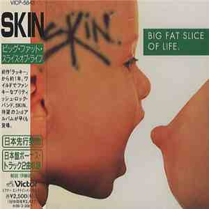 Skin  - Big Fat Slice Of Life download mp3