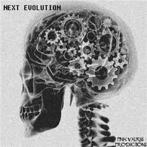 Various - Next Evolution Compilation download mp3