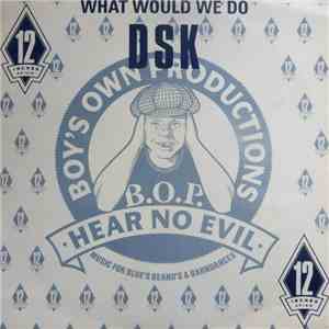 DSK - What Would We Do download mp3