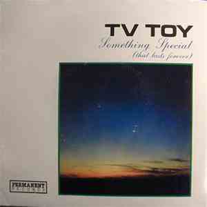 TV Toy - Something Special download mp3