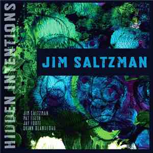 Jim Saltzman - Hidden Intentions download mp3