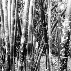 Mod2 - Primate Ep download mp3