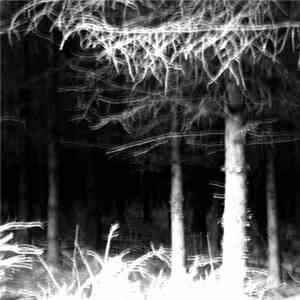 Tex La Homa - Fernworthy download mp3