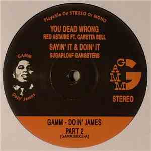 Various - GAMM - Doin' James Part 2 download mp3