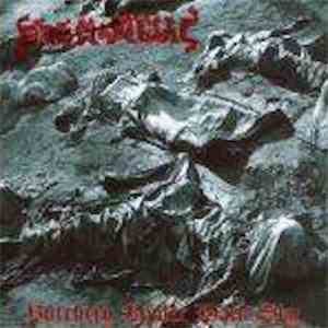 Draemoontias - Butchery Under Dark Sky download mp3