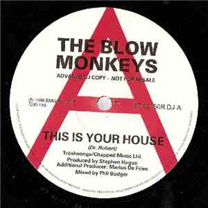 The Blow Monkeys - This Is Your House download mp3
