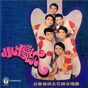 白薇薇 與 五花瓣合唱團 - 小傻瓜 download mp3