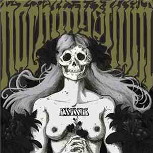 Nachtmystium - Assassins - Black Meddle Part 1 download mp3