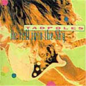 Tadpoles - He Fell Into The Sky download mp3