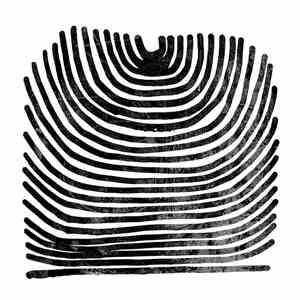 Rival Consoles - Howl download mp3