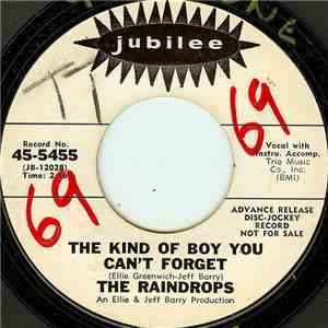 The Raindrops - The Kind Of Boy You Can't Forget download mp3