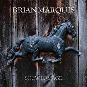 Brian Marquis - Snow Damage mp3 download