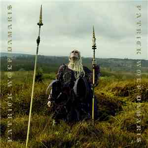 Patrick Wolf - Damaris download mp3